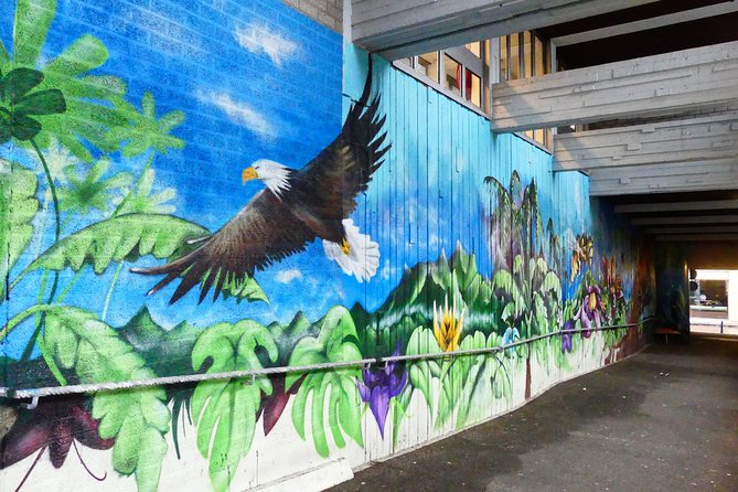1,5 hour private guided Mural Street Art tour in Arnhem - Why street art makes a good introduction to Arnhem