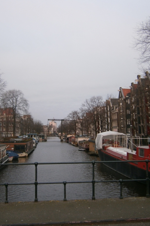 2.5-Hour Amsterdam Sightseeing Tour by Bike - Museum Square by bicycle