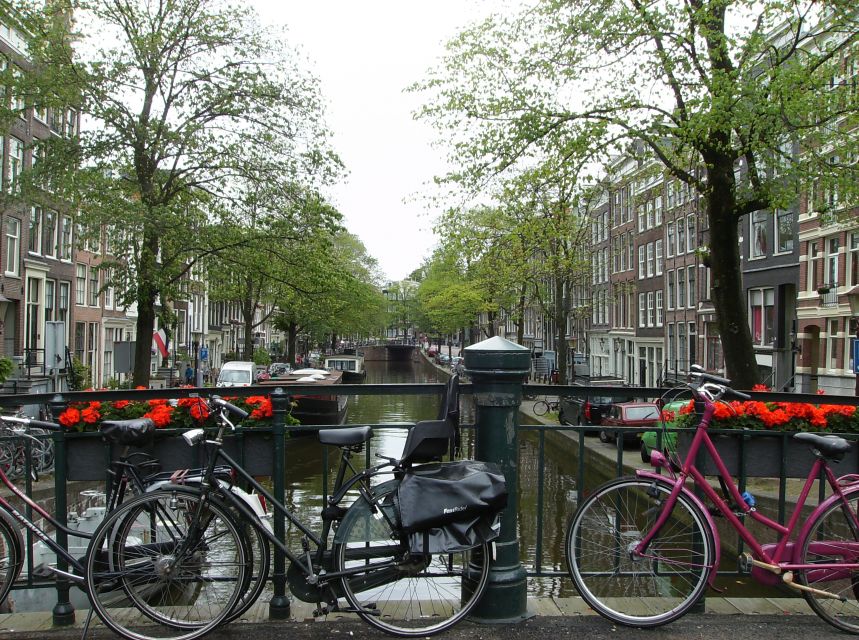 2.5-Hour Amsterdam Sightseeing Tour by Bike - Private-group value at $341