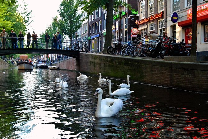 3 hour Amsterdam Private Guide Walking Tour with an Amsterdam born raised Guide - Who should book this Amsterdam walk?