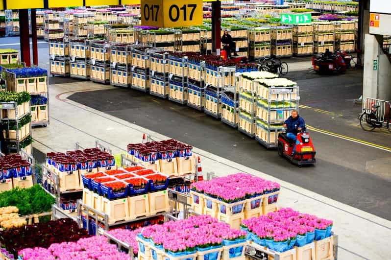 Aalsmeer: Flower Auction Royal Flora Holland Entry Ticket - Seeing color, scent, and quantity on a much larger scale
