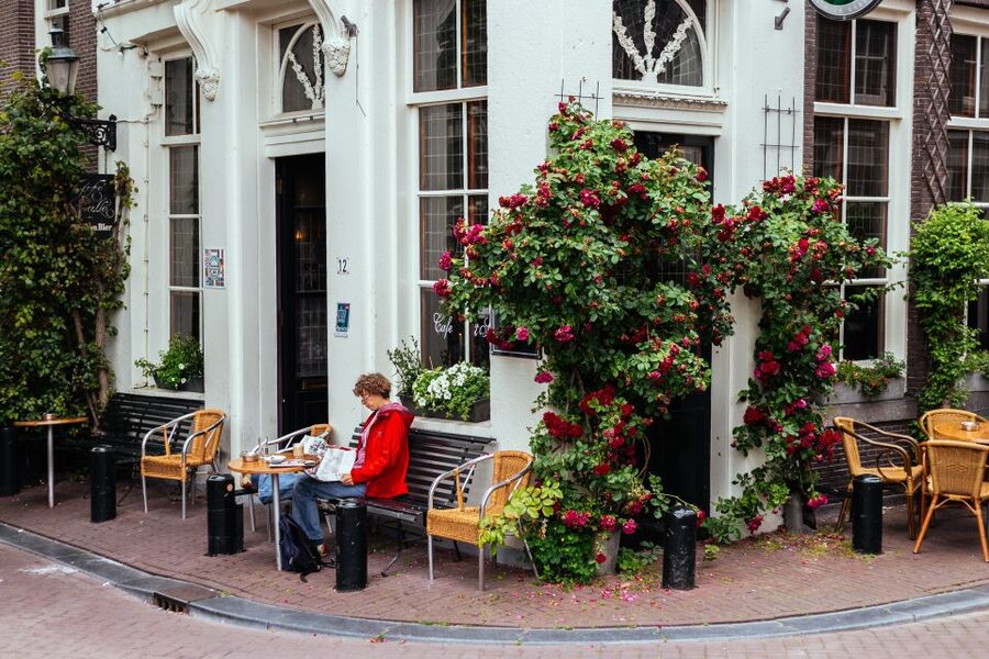 Amsterdam: 1.5-Hour Private Kick-Start Tour with a Local - Stories, questions, and your own priorities