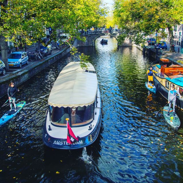 Amsterdam: 2-Hour Stand Up Paddle Board Tour - Starting beside the windmill near Brewery het IJ