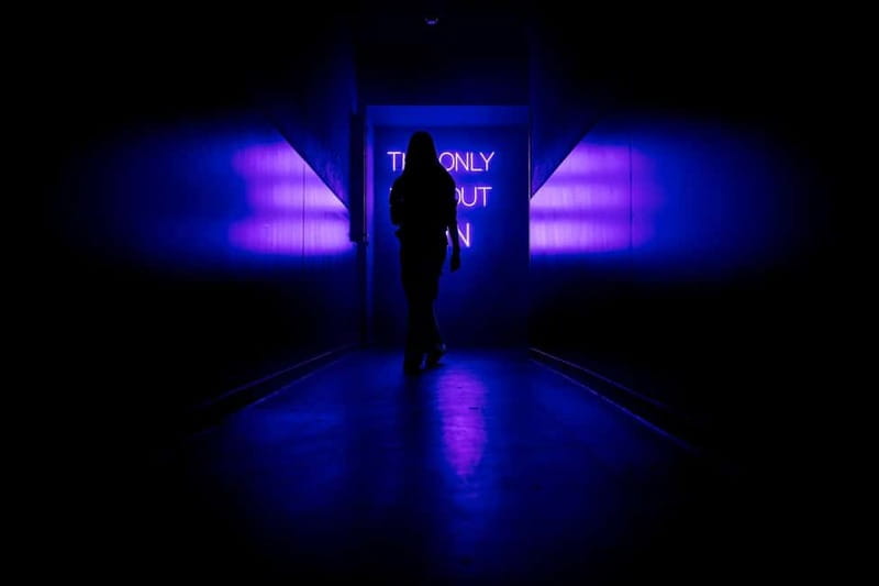 Amsterdam: AMAZE Immersive Audiovisual Experience Ticket - Media art and the changing moods of the route