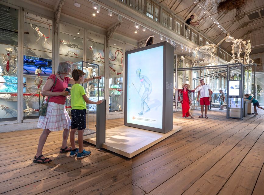 Amsterdam: ARTIS-Groote Museum Entry Ticket - Audio Tours, Activities, and Lectures
