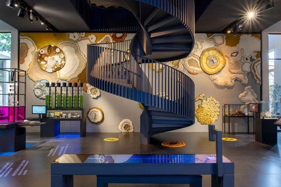 Amsterdam: ARTIS-Micropia Microbe Museum Entry Ticket - Key Things to Know Before You Go