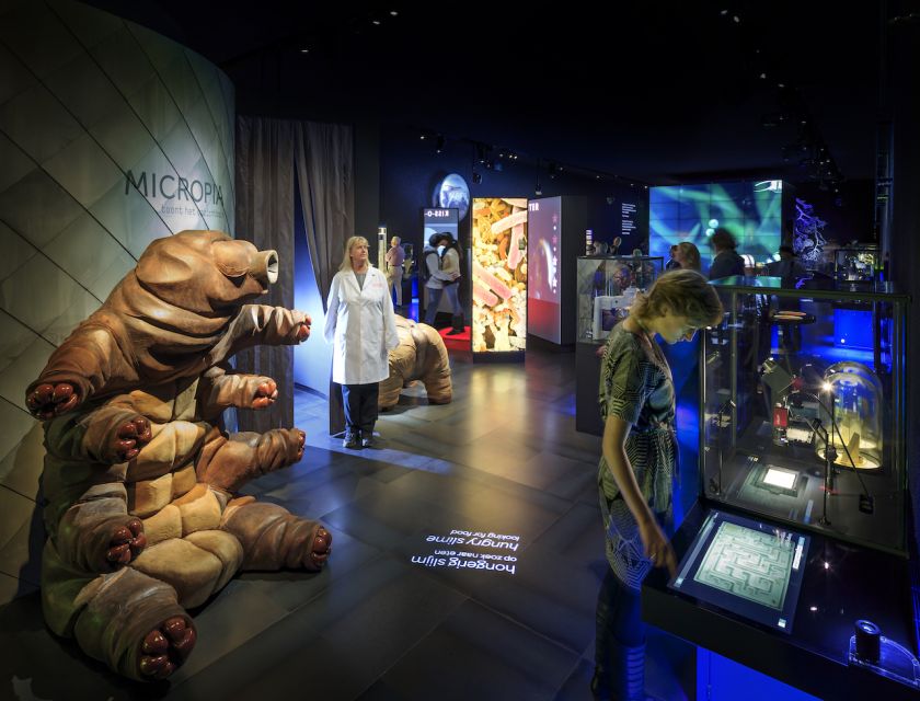 Amsterdam: ARTIS-Micropia Microbe Museum Entry Ticket - Location, Access, and Practical Timing