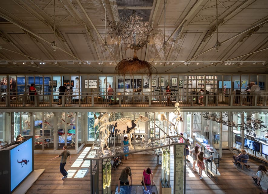 Amsterdam: ARTIS Royal Zoo and ARTIS Groote Museum Ticket - What the $55 ticket is really worth