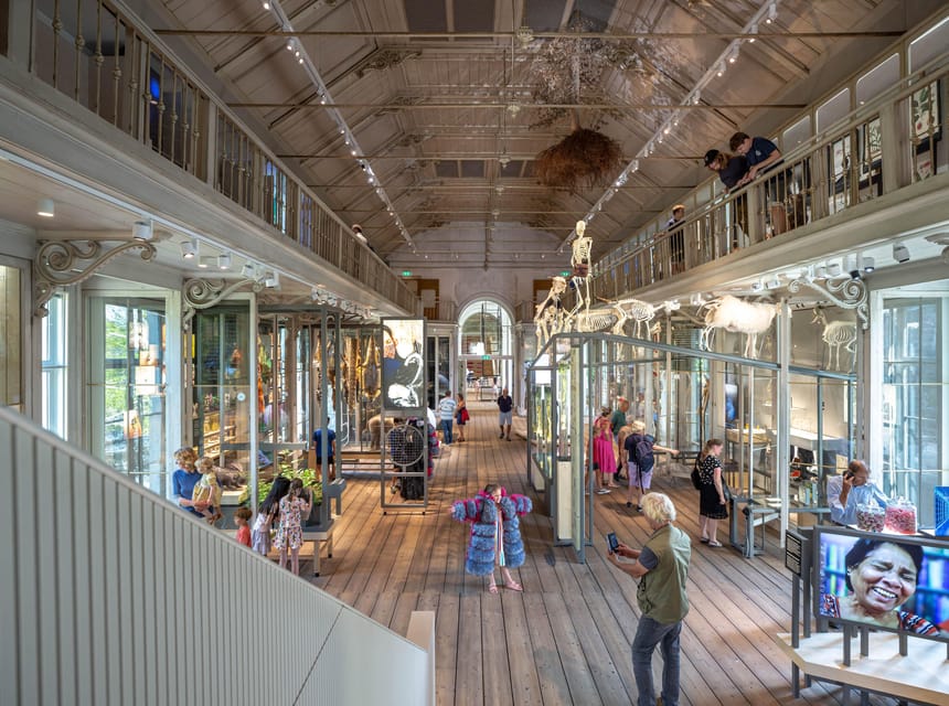 Amsterdam: ARTIS Royal Zoo and ARTIS Groote Museum Ticket - Practical timing, access, and comfort