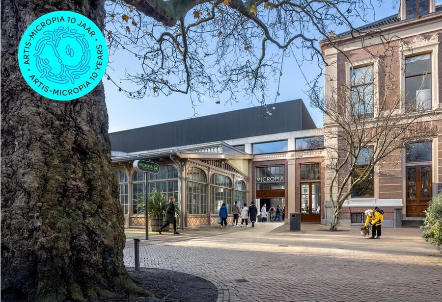 Amsterdam: Artis Royal Zoo & ARTIS-Micropia Combo Ticket - Practical Details Before You Book