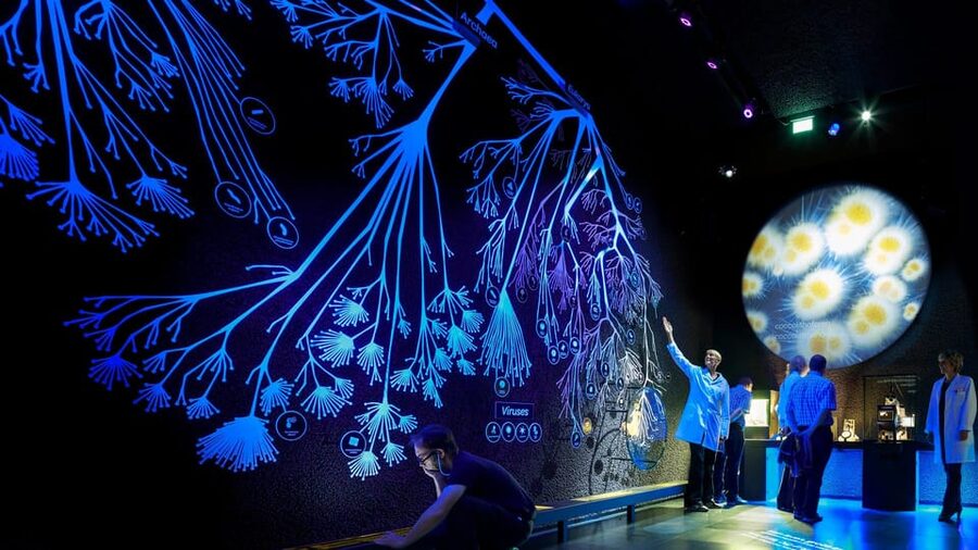 Amsterdam: Artis Royal Zoo & ARTIS-Micropia Combo Ticket - Why Micropia Deserves Its Own Appointment