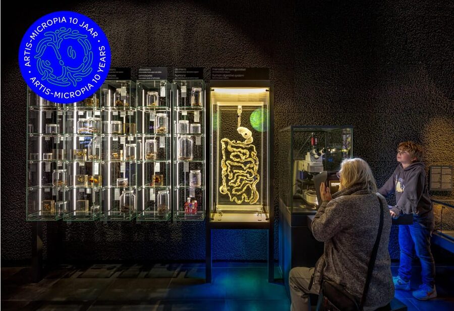 Amsterdam: Artis Royal Zoo & ARTIS-Micropia Combo Ticket - Who Will Enjoy ARTIS Most?