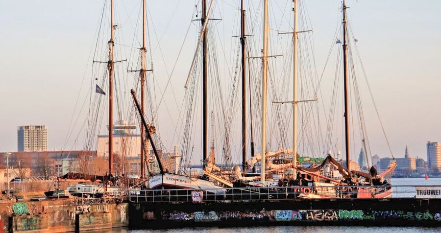 Amsterdam: Bike Tour (Noord) in German or English - Meeting at the Sea Palace and crossing the IJ