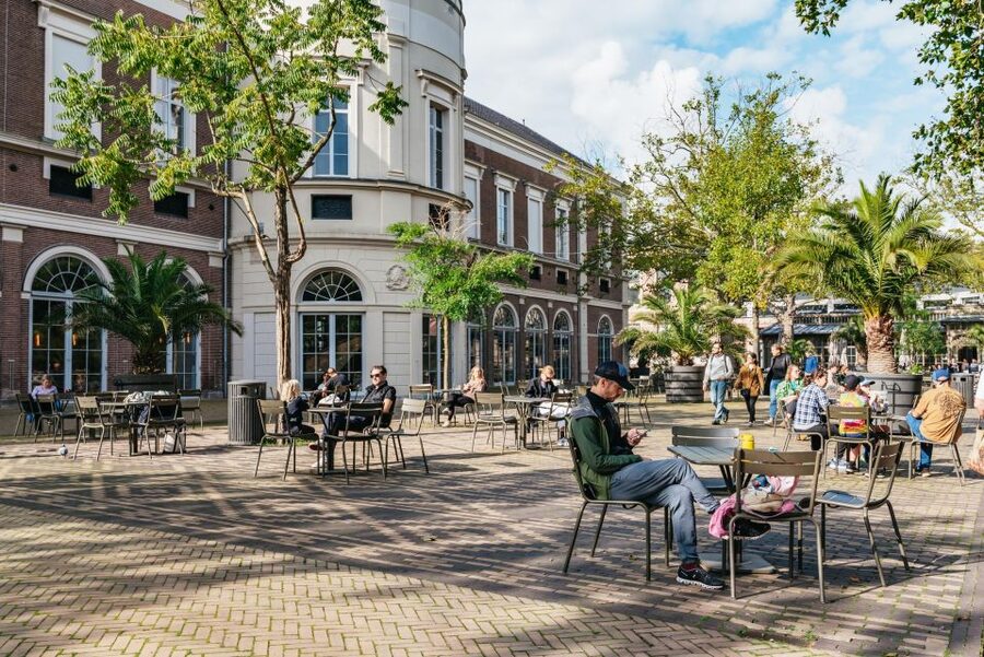 Amsterdam: Bike Tour with Optional Cruise in Small-Group - Vondelpark: a calmer stretch of the route