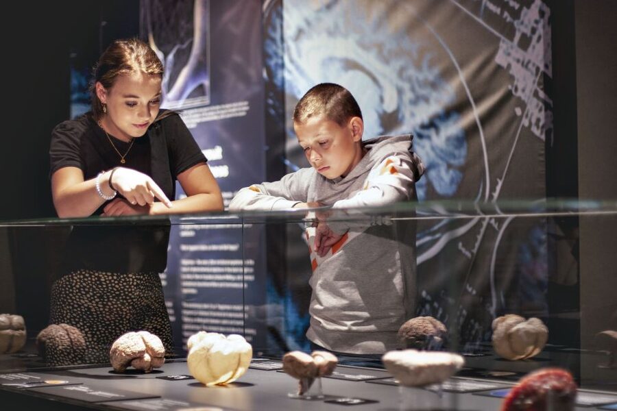 Amsterdam: Body Worlds Exhibition and Canal Cruise - FAQ