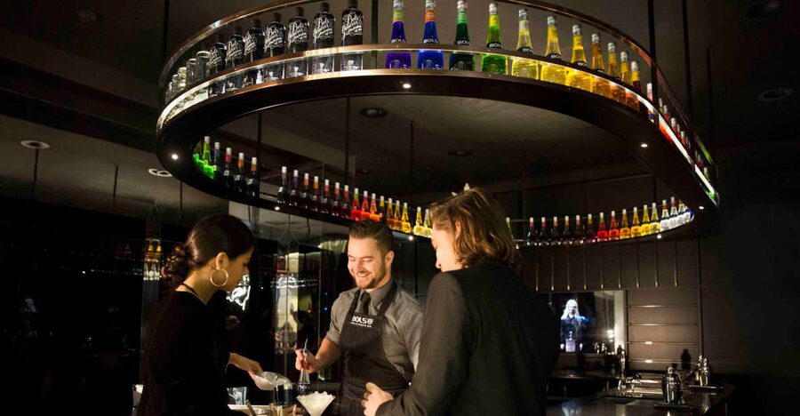 Amsterdam: Bols Cocktail Experience and Cocktail Workshop - How much drink do you really get?