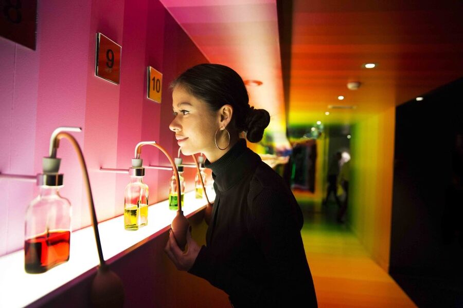 Amsterdam: Bols Cocktail Experience and Cocktail Workshop - Small drawbacks to keep in mind