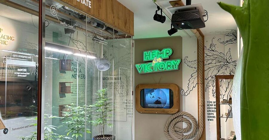 Amsterdam: Cannabis Museum Entry Ticket - Key points to know before you go