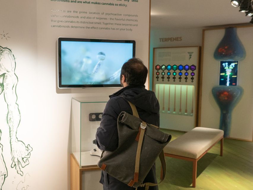 Amsterdam: Cannabis Museum Entry Ticket - Starting with the plant, not the stereotype
