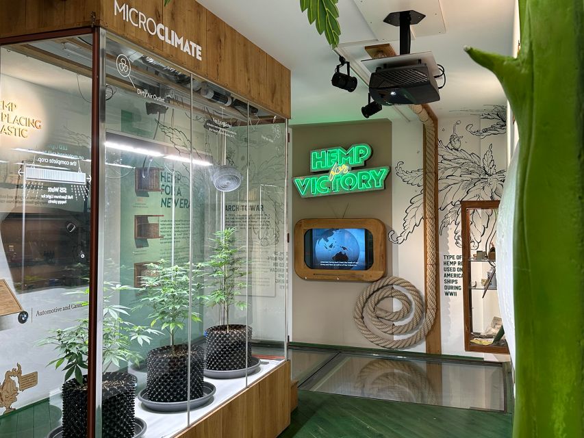 Amsterdam: Cannabis Museum Entry Ticket - The audio tour is worth your attention