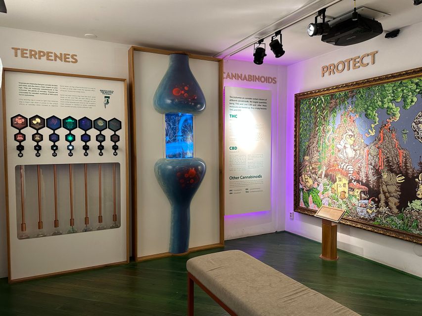Amsterdam: Cannabis Museum Entry Ticket - The upper floor and the confusing smoking rules