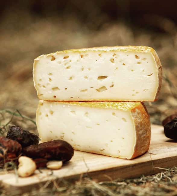 Amsterdam: Cheese, Windmill & Countryside Bike Tour - The farm stop, from cheese to baby lambs