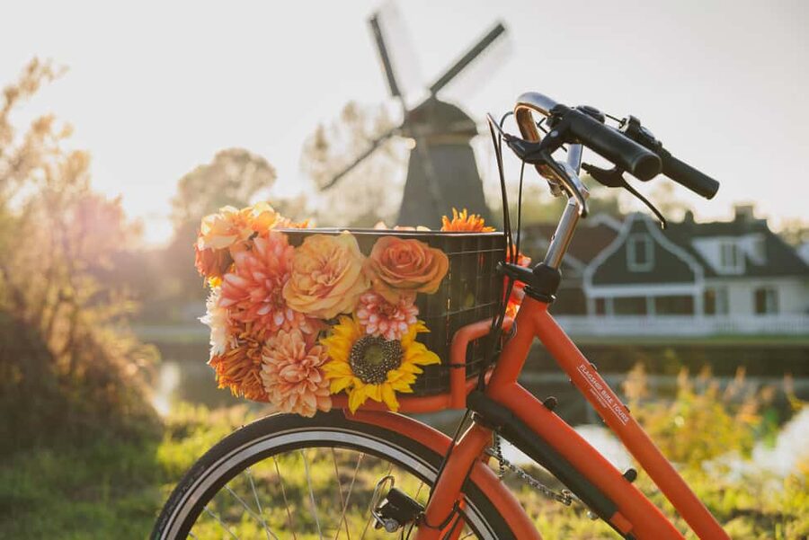 Amsterdam: Cheese, Windmill & Countryside Bike Tour - What the $44 price really covers