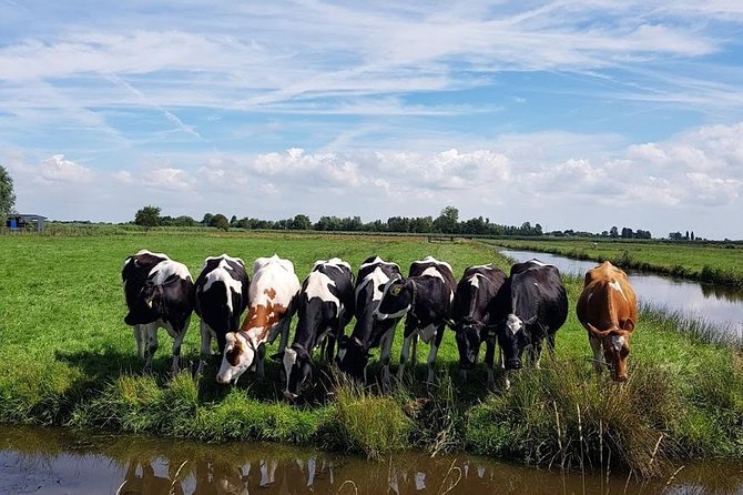Amsterdam City & Countryside Tour: The Best of both Worlds - How the flexible schedule can work in your favor