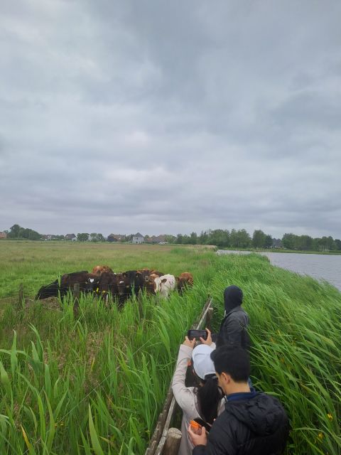 Amsterdam: Countryside Bike and Kayak Guided Tour - The five details that make this tour special