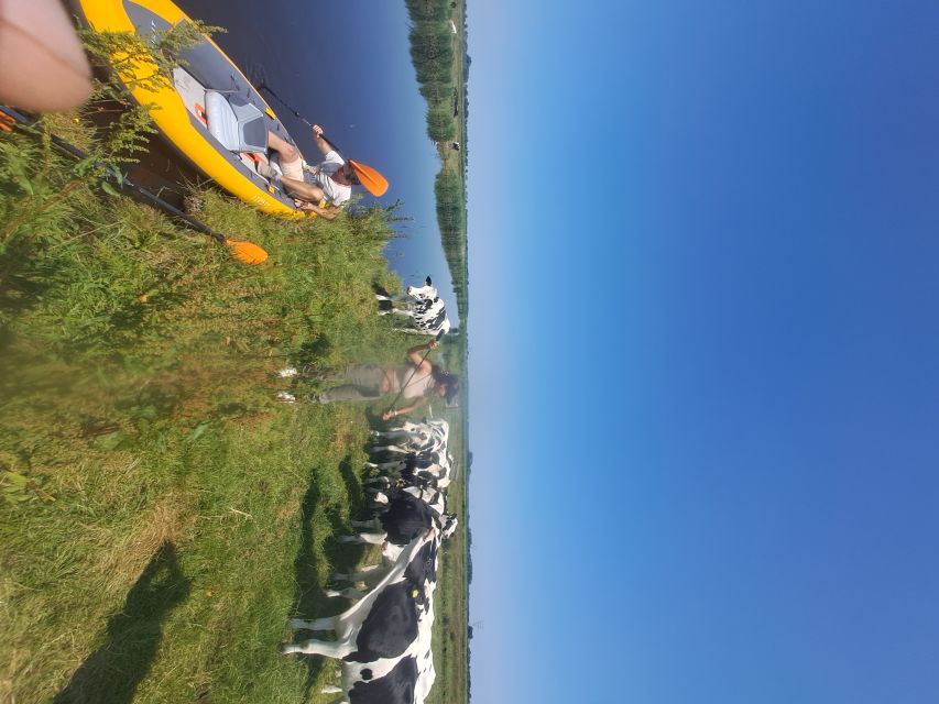 Amsterdam: Countryside Bike and Kayak Guided Tour - Practical things to know before you go