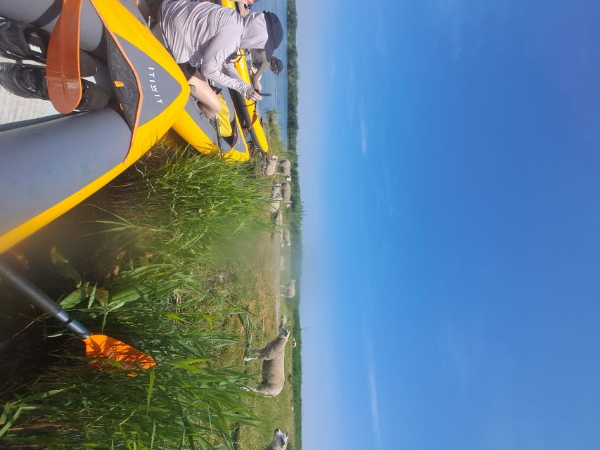 Amsterdam: Countryside Bike and Kayak Guided Tour - Tristan’s guiding style