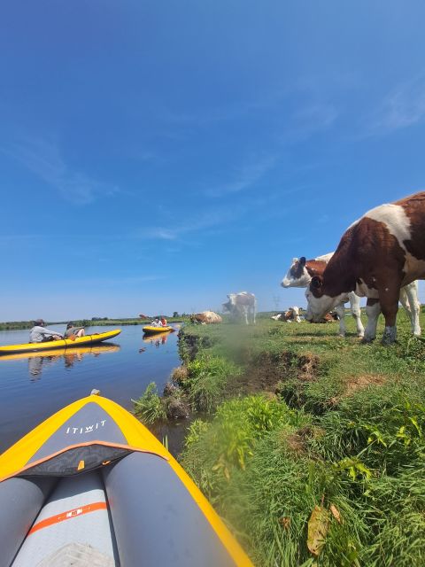 Amsterdam: Countryside Bike and Kayak Guided Tour - Who should book this Amsterdam day trip?