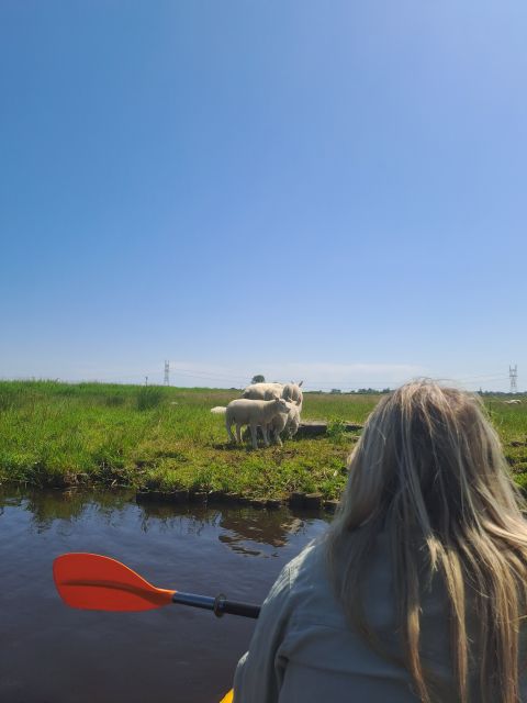 Amsterdam: Countryside Bike and Kayak Guided Tour - d’Admiraal Windmill and the old Dutch countryside