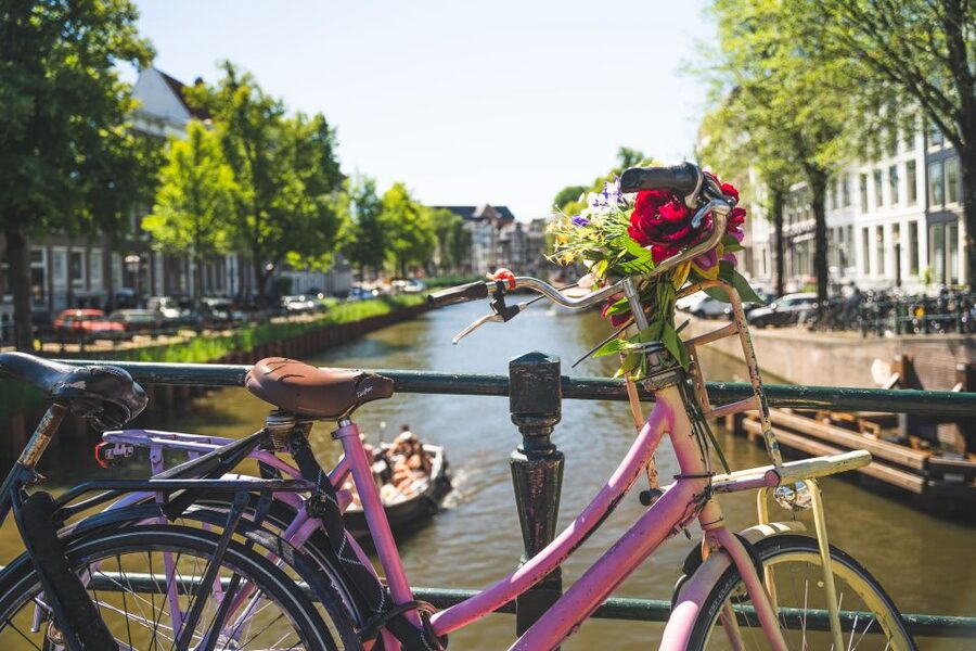 Amsterdam: Countryside Bike Tour - The return through Buiksloterweg