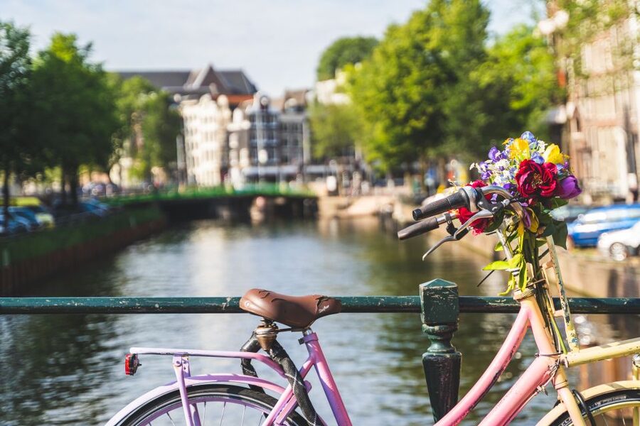 Amsterdam: Countryside Bike Tour - What the guide adds to the ride