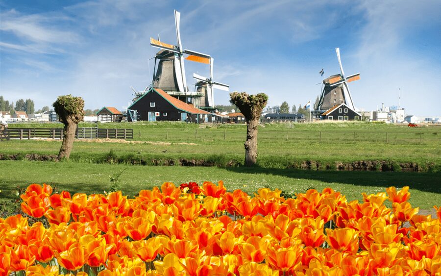 Amsterdam: Day Tour Keukenhof and Zaanse Schans Windmills - The ride to Keukenhof and the value of the route