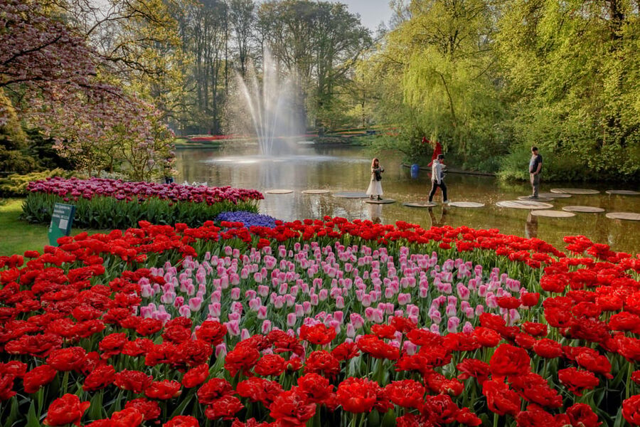 Amsterdam: Day Tour Keukenhof and Zaanse Schans Windmills - What the $72 price really covers