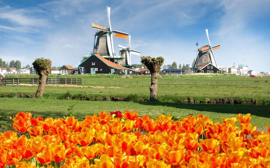 Amsterdam: Day Tour Keukenhof and Zaanse Schans Windmills - Practical advice for making the day work