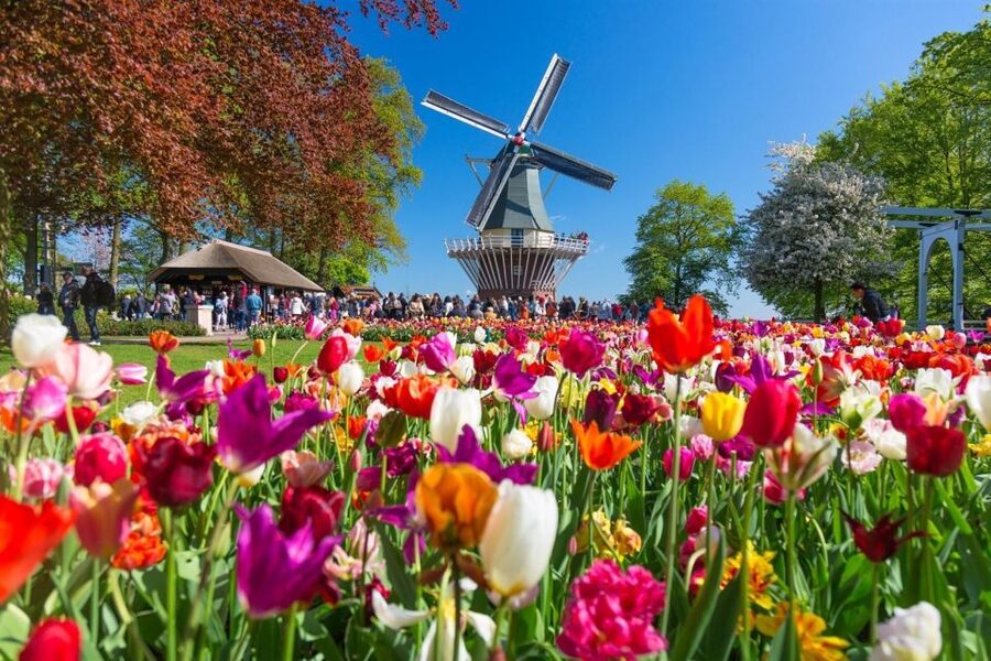 Amsterdam: Day Tour Keukenhof and Zaanse Schans Windmills - Who should book this Amsterdam day trip?