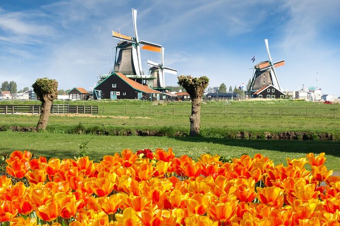 Amsterdam: Day Trip to Keukenhof & Zaanse Schans Windmills - Key points at a glance
