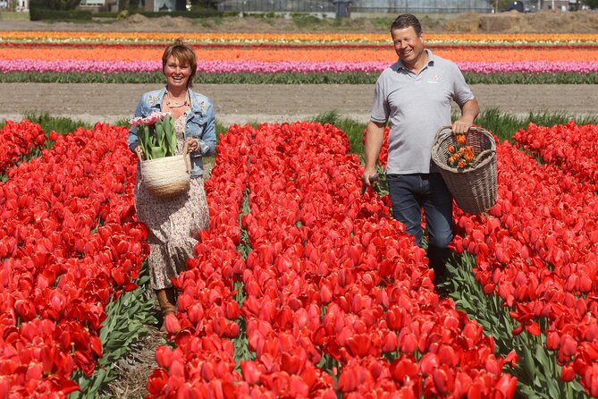 Amsterdam: Day trip to Tulip Farm, Keukenhof + Windmill Cruise - De Tulperij offers the most personal stop