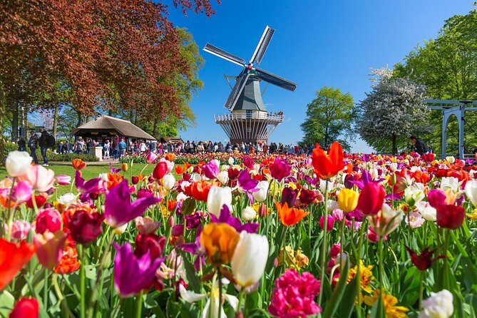 Amsterdam: Day trip to Tulip Farm, Keukenhof + Windmill Cruise - Is $102.23 a fair price?