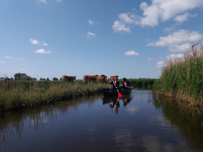 Amsterdam: Dutch Countryside Sunset Canoe Tour - Who will enjoy this tour most?