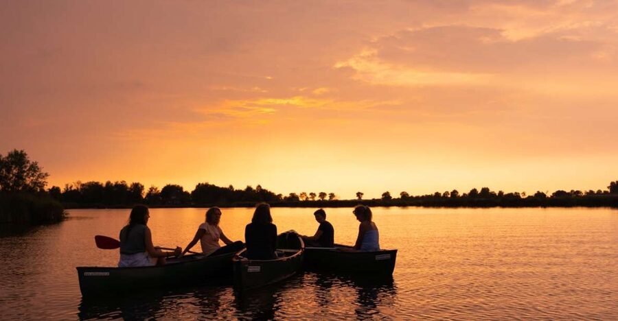 Amsterdam: Dutch Countryside Sunset Canoe Tour - Paddling past farms, mills, and grazing animals
