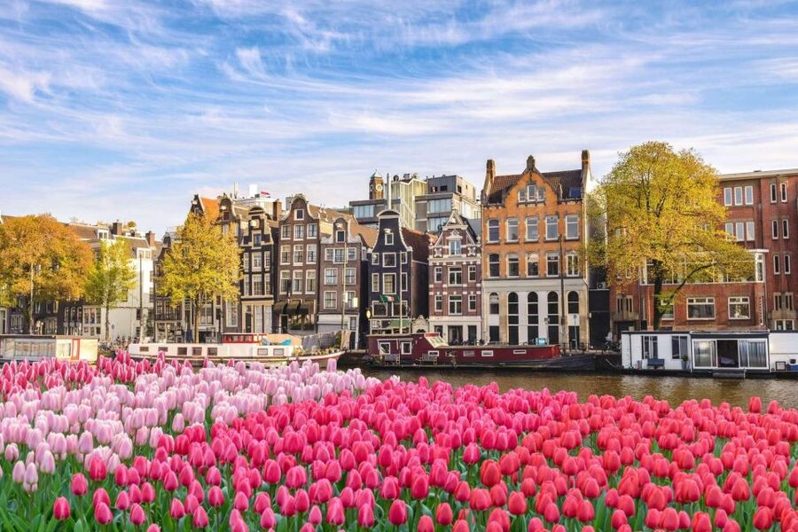 Amsterdam Family Friendly Historical Walking Tour - Is $235 per person a fair price?