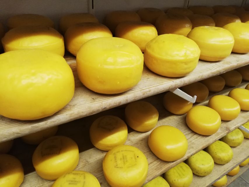 Amsterdam: Full-Day Countryside Tour - Five useful things to know before you go