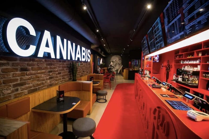 Amsterdam: Guided Ganja Walking Tour of Coffee Shops - What this Amsterdam coffee-shop walk is really like