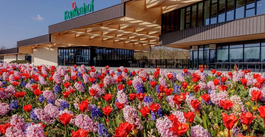 Amsterdam: Half-Day Flower Fields and Keukenhof Bicycle Tour - Why this tour gives you more than Keukenhof