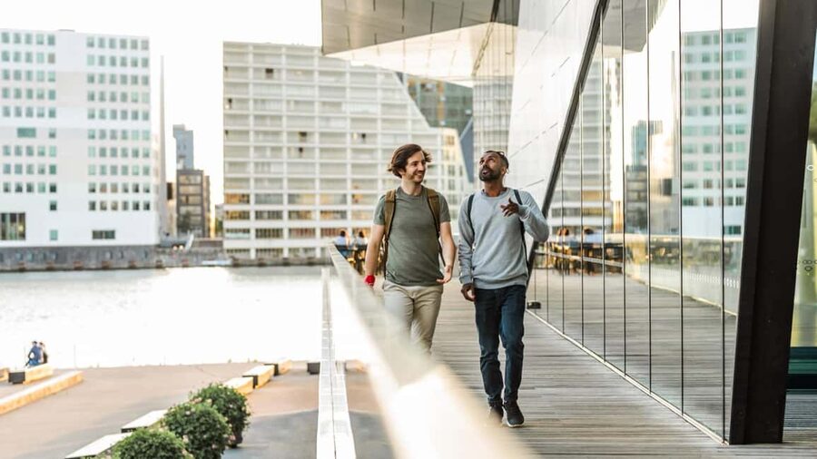 Amsterdam: Highlights & Hidden Gems Private Walking Tour - Why a private Amsterdam walk can be worth it