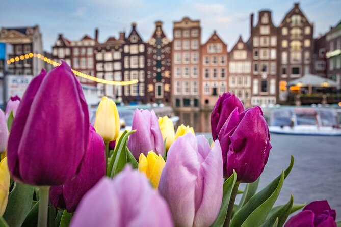 Amsterdam Highlights Walking Tour - Five things to know before you go